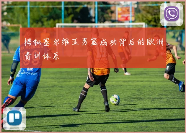 揭秘塞尔维亚男篮成功背后的欧洲青训体系
